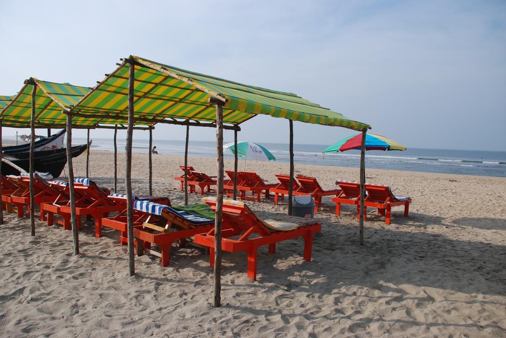 Molly'S Nest Otel Mandrem Dış mekan fotoğraf