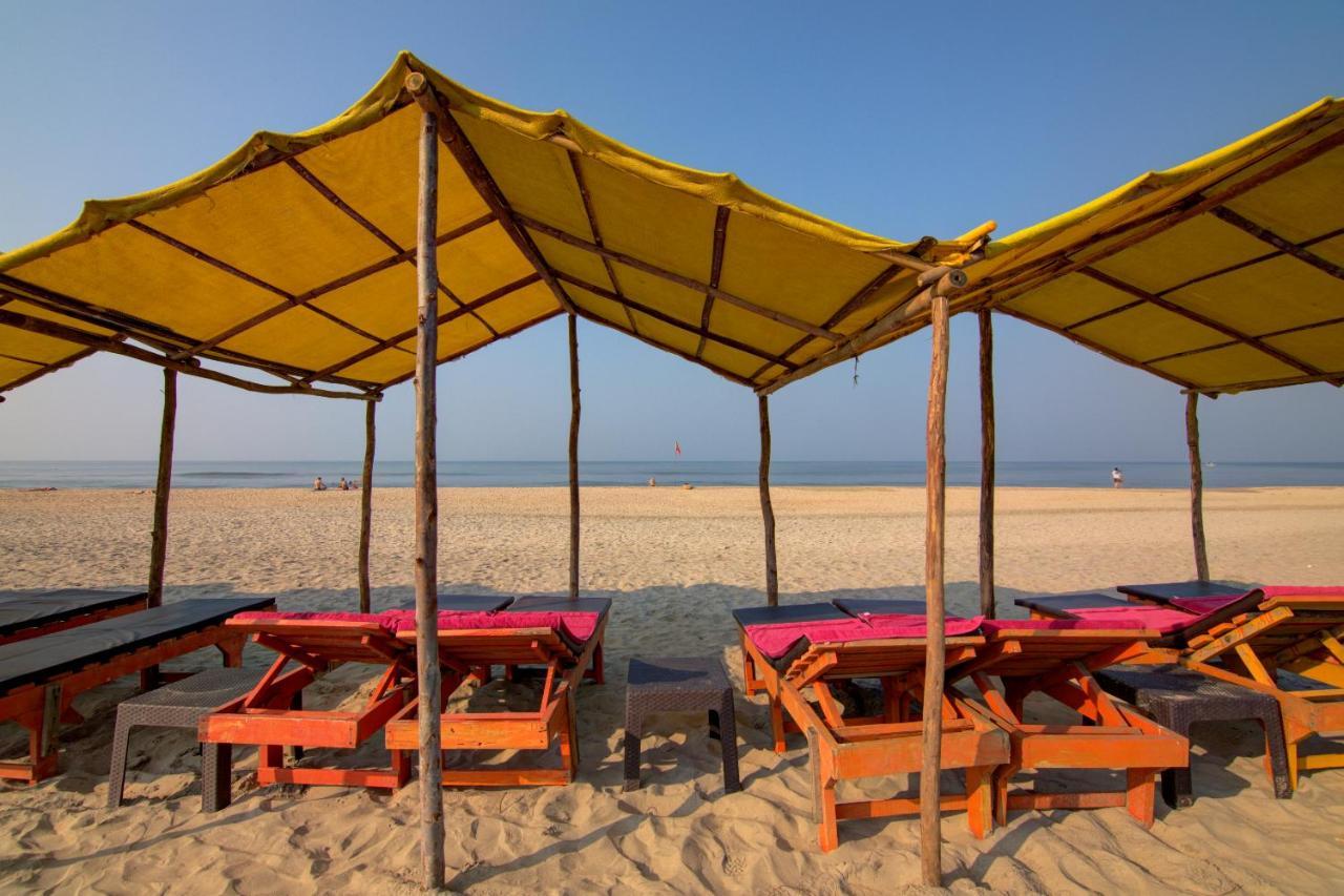 Molly'S Nest Otel Mandrem Dış mekan fotoğraf