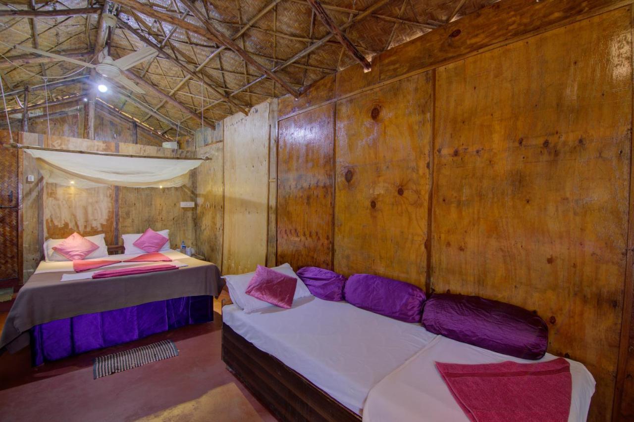 Molly'S Nest Otel Mandrem Dış mekan fotoğraf