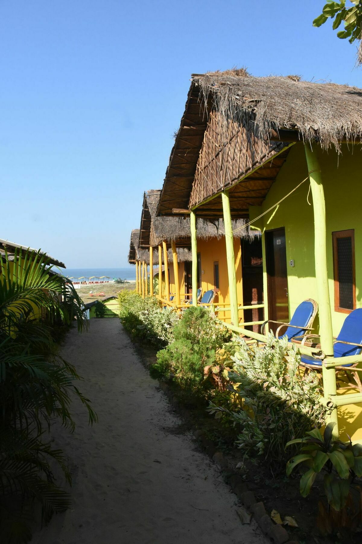 Molly'S Nest Otel Mandrem Dış mekan fotoğraf